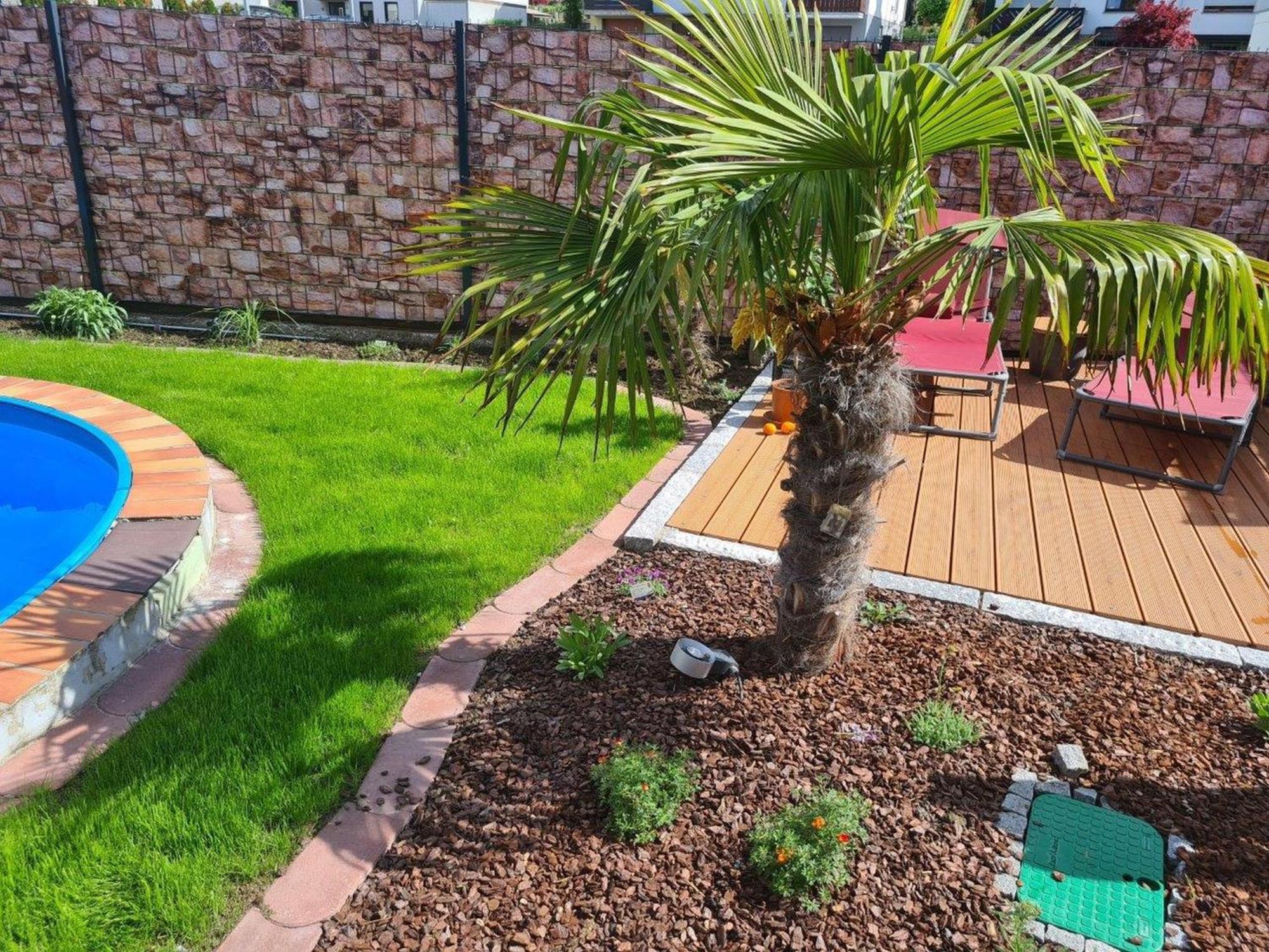 Ferienwohnung Rimbach Ngoại thất bức ảnh